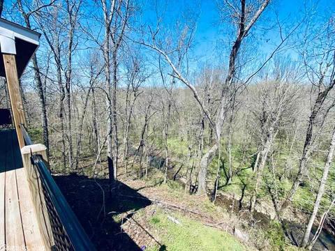 103 Harding, Mountain View, AR 72560 photo 31