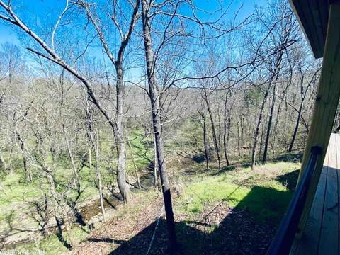 103 Harding, Mountain View, AR 72560 photo 35