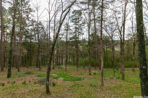 337 Conner St, Clinton, AR 72031 photo 32