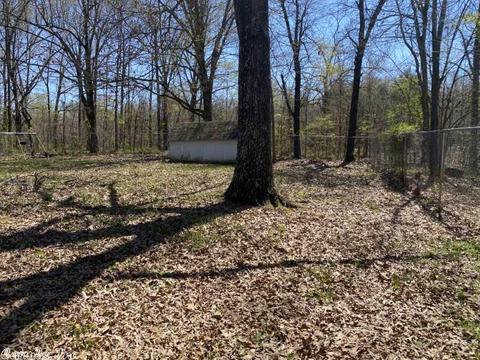 73 S Circle Dr, Ash Flat, AR 72513 photo 35
