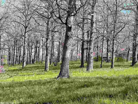 68 Orr Rd, Ash Flat, AR 72513 photo 4