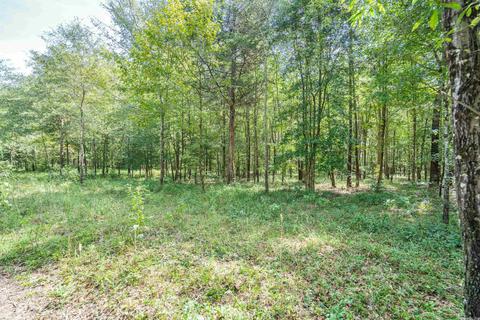 tbd Gordon Lot #4, Murfreesboro, AR 71958 photo 19