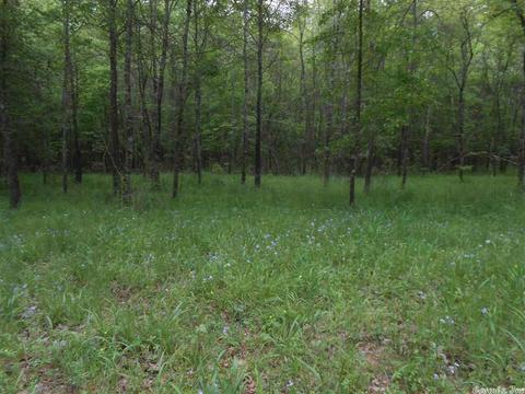 tbd Gordon Lot #4, Murfreesboro, AR 71958 photo 14