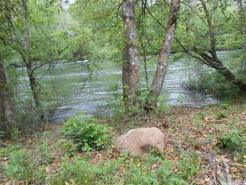 tbd Gordon Lot #7, Murfreesboro, AR 71958 photo 11