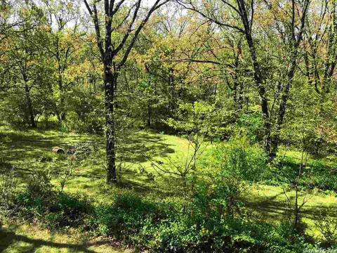 31 Caddo Dr, Conway, AR 72032 photo 18