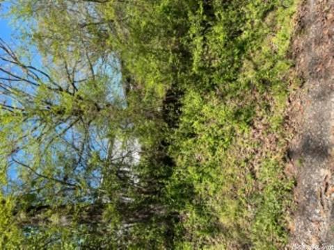 121 Lawrence Landing Rd, Conway, AR 72032 photo 26