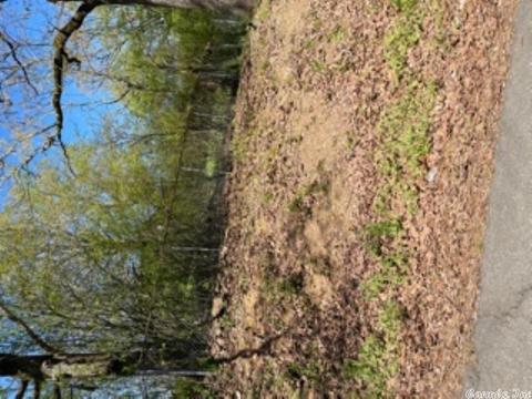 121 Lawrence Landing Rd, Conway, AR 72032 photo 20