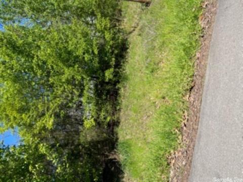 121 Lawrence Landing Rd, Conway, AR 72032 photo 21