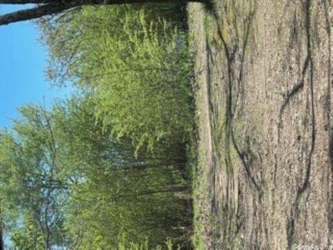 121 Lawrence Landing Rd, Conway, AR 72032 photo 25