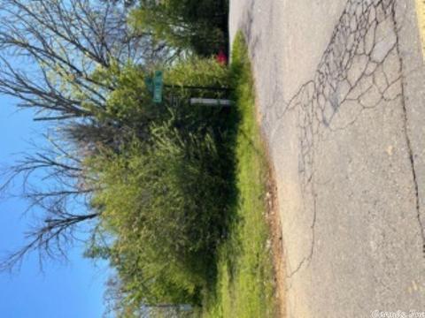 121 Lawrence Landing Rd, Conway, AR 72032 photo 22