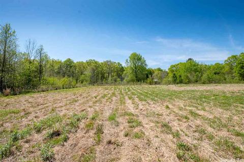 34 Cypress Loop, Vilonia, AR 72173 photo 37