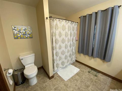 482 Ash Trl, Melbourne, AR 72556 photo 10