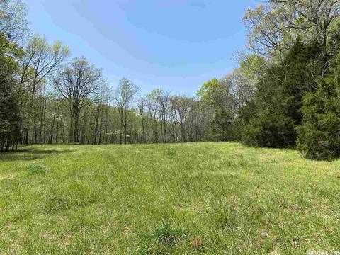 482 Ash Trl, Melbourne, AR 72556 photo 32