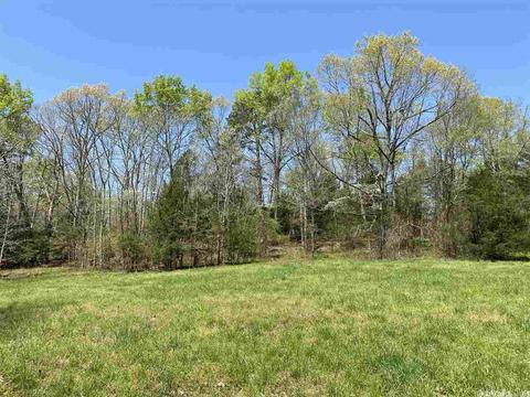 482 Ash Trl, Melbourne, AR 72556 photo 31