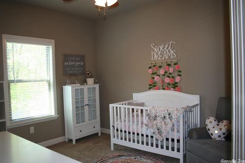 121 Hudson Branch Dr, Austin, AR 72007 photo 23