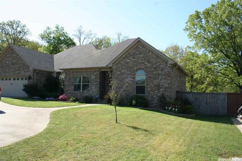 121 Hudson Branch Dr, Austin, AR 72007 photo 2