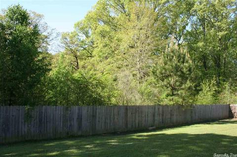 121 Hudson Branch Dr, Austin, AR 72007 photo 28