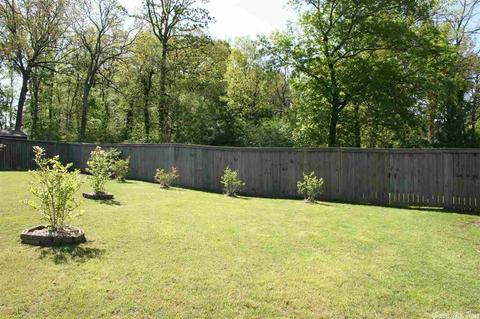 121 Hudson Branch Dr, Austin, AR 72007 photo 30