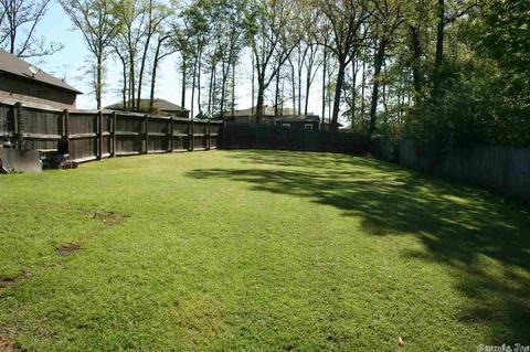 121 Hudson Branch Dr, Austin, AR 72007 photo 29