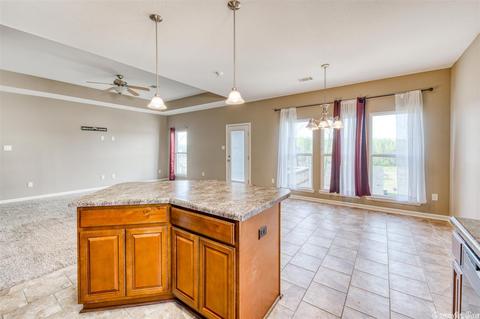 2030 Shadow Falls Dr, Conway, AR 72032 photo 9