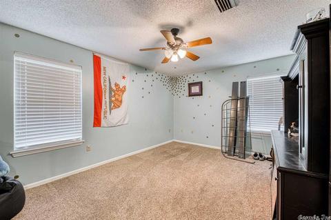 29 Brier Springs Dr, Conway, AR 72034 photo 19