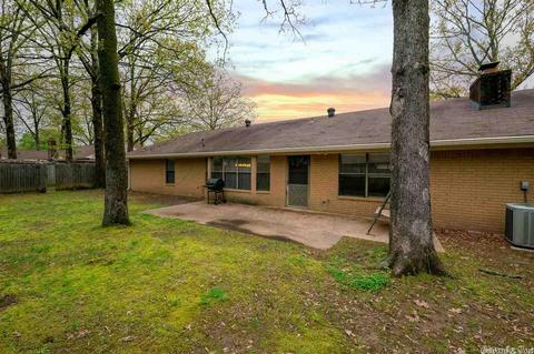 29 Brier Springs Dr, Conway, AR 72034 photo 25