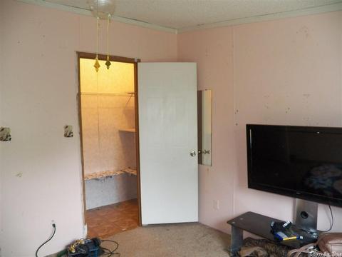 153 Mariposa Loop, Bee Branch, AR 72013 photo 29
