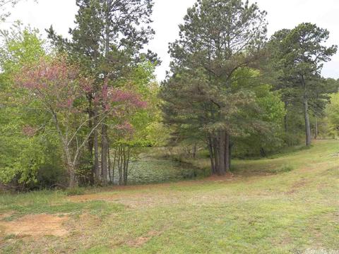 153 Mariposa Loop, Bee Branch, AR 72013 photo 32