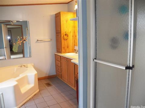 153 Mariposa Loop, Bee Branch, AR 72013 photo 21