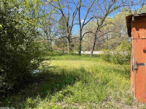 23 Tuff St, Ash Flat, AR 72513 photo 5