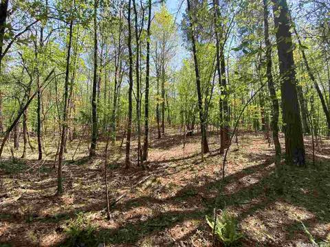 173 Silver Hills Rd, Mount Ida, AR 71957 photo 4
