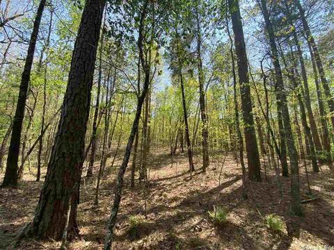173 Silver Hills Rd, Mount Ida, AR 71957 photo 3