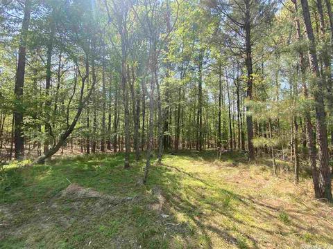 173 Silver Hills Rd, Mount Ida, AR 71957 photo 6