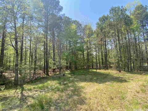 173 Silver Hills Rd, Mount Ida, AR 71957 photo 1