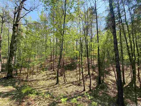 173 Silver Hills Rd, Mount Ida, AR 71957 photo 2