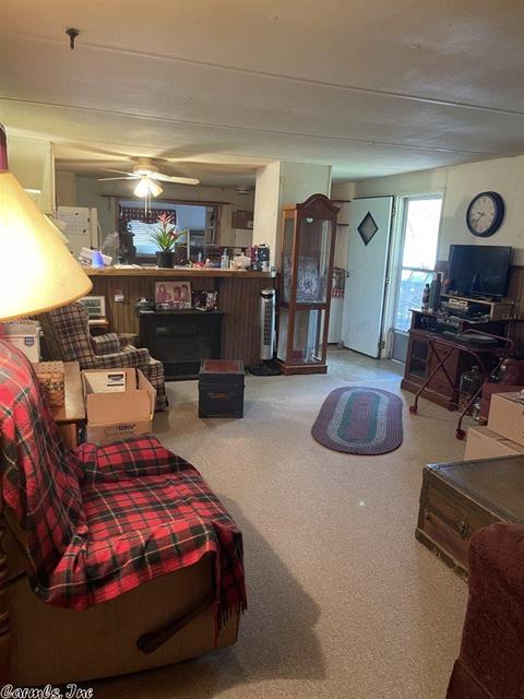40 S Cir, Ash Flat, AR 72513 photo 10