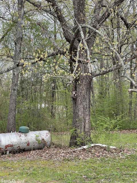 40 S Cir, Ash Flat, AR 72513 photo 30