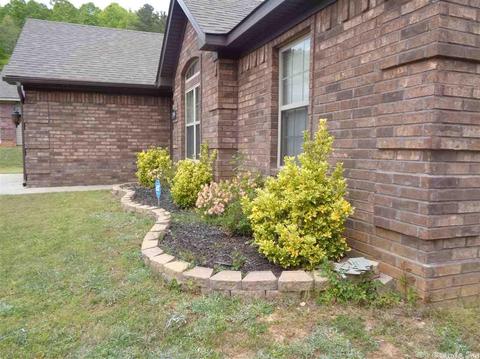 3959 Eastern Slope Dr, Alexander, AR 72002 photo 7