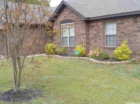 3959 Eastern Slope Dr, Alexander, AR 72002 photo 4