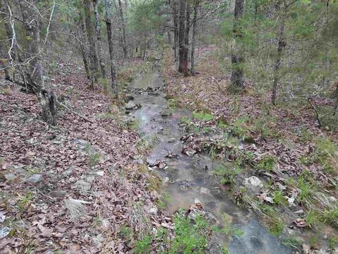 181 Stone Ln, Mena, AR 71953 photo 3