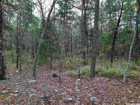 181 Stone Ln, Mena, AR 71953 photo 4