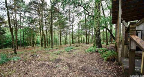164 Polk 710, Mena, AR 71953 photo 28
