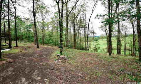 164 Polk 710, Mena, AR 71953 photo 4