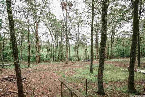 164 Polk 710, Mena, AR 71953 photo 18