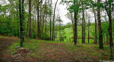 164 Polk 710, Mena, AR 71953 photo 35