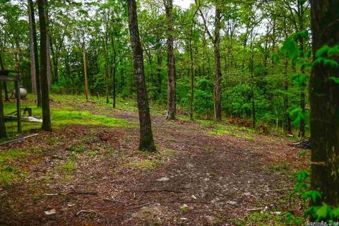 164 Polk 710, Mena, AR 71953 photo 36