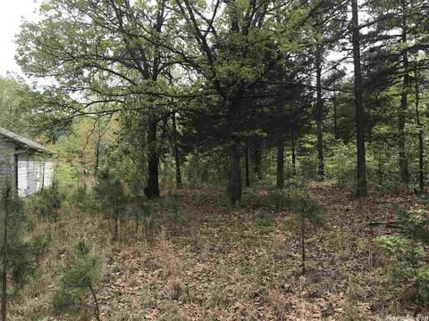 235 Harding, Mountain View, AR 72560 photo 28