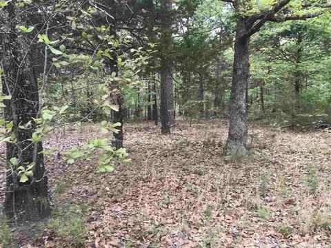 235 Harding, Mountain View, AR 72560 photo 21