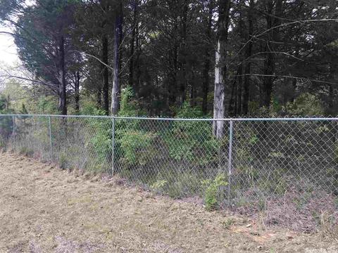 235 Harding, Mountain View, AR 72560 photo 6