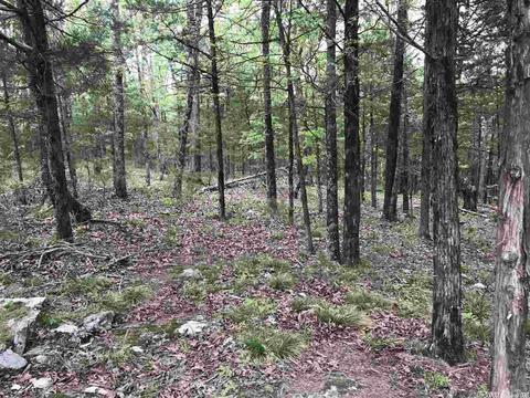 235 Harding, Mountain View, AR 72560 photo 26